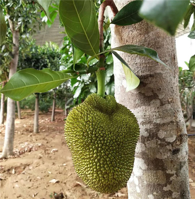 &#19975;&#35937;&#22478;&#22312;&#32447;&#30331;&#24405;&#32;&#45;&#32;&#19975;&#35937;&#22478;&#65288;&#20013;&#22269;&#65289;&#45;&#19975;&#35937;&#22478;&#65288;&#20013;&#22269;&#65289;