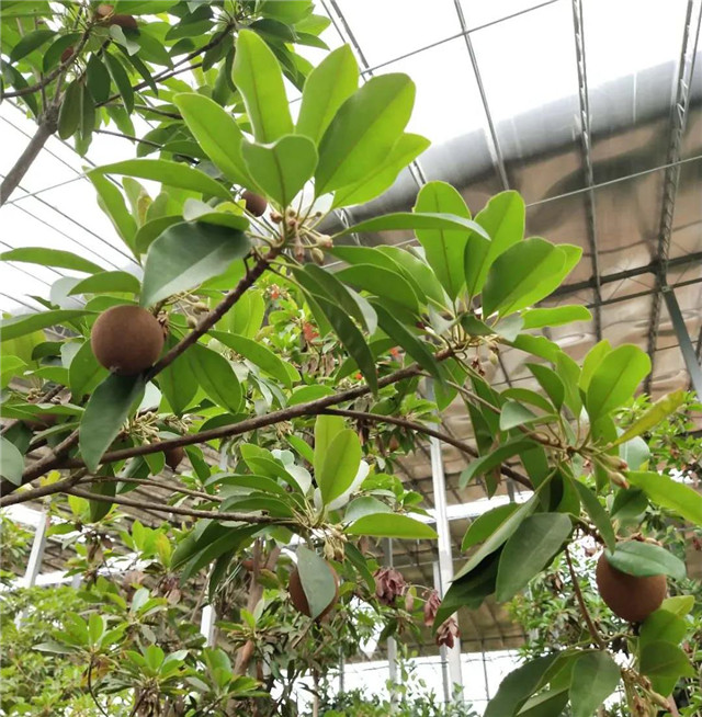 &#19975;&#35937;&#22478;&#22312;&#32447;&#30331;&#24405;&#32;&#45;&#32;&#19975;&#35937;&#22478;&#65288;&#20013;&#22269;&#65289;&#45;&#19975;&#35937;&#22478;&#65288;&#20013;&#22269;&#65289;