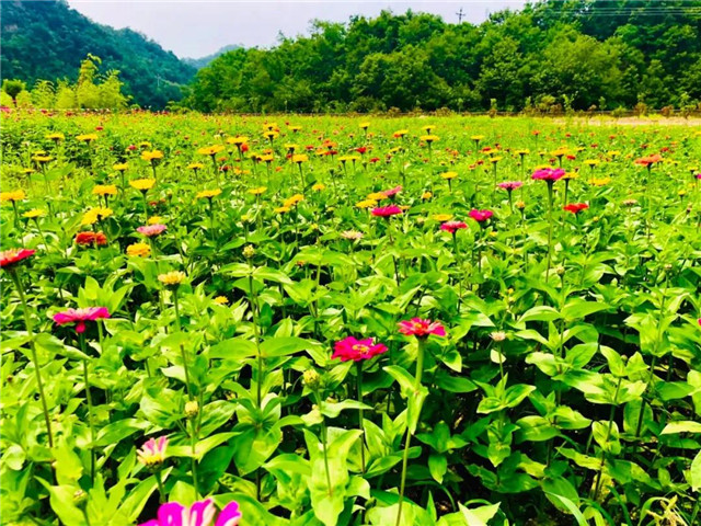 &#19975;&#35937;&#22478;&#22312;&#32447;&#30331;&#24405;&#32;&#45;&#32;&#19975;&#35937;&#22478;&#65288;&#20013;&#22269;&#65289;&#45;&#19975;&#35937;&#22478;&#65288;&#20013;&#22269;&#65289;
