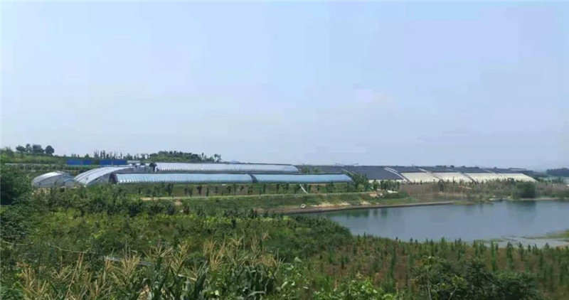 &#19975;&#35937;&#22478;&#22312;&#32447;&#30331;&#24405;&#32;&#45;&#32;&#19975;&#35937;&#22478;&#65288;&#20013;&#22269;&#65289;&#45;&#19975;&#35937;&#22478;&#65288;&#20013;&#22269;&#65289;