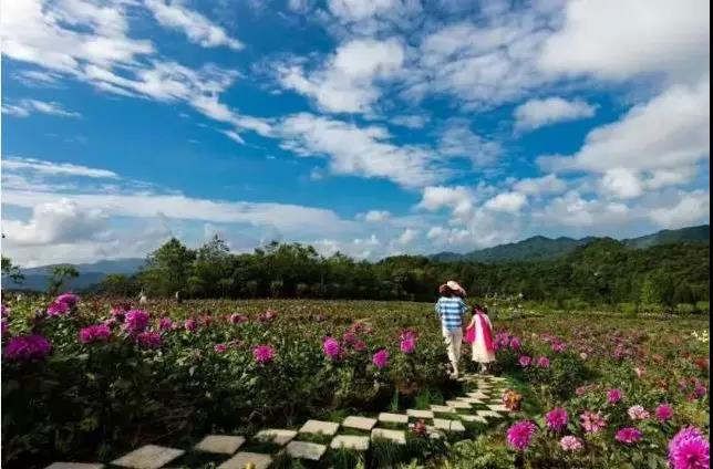 &#19975;&#35937;&#22478;&#22312;&#32447;&#30331;&#24405;&#32;&#45;&#32;&#19975;&#35937;&#22478;&#65288;&#20013;&#22269;&#65289;&#45;&#19975;&#35937;&#22478;&#65288;&#20013;&#22269;&#65289;